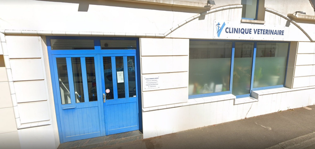 Clinique Vétérinaire Clémentine Clinique Vétérinaire Clémentine