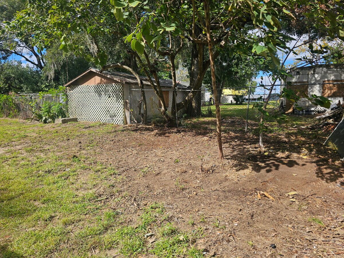 Grassy yard with shed, trees, and other buildings in the background. Sunny day.