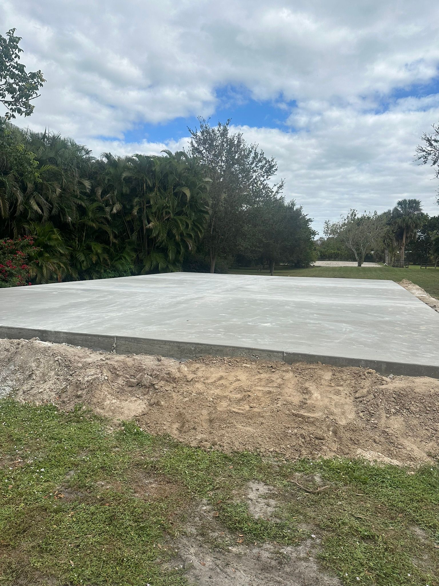 A concrete walkway surrounded by trees and bushes on a sunny day