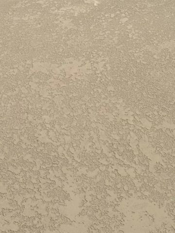 A close up of a sandy surface with a texture.
