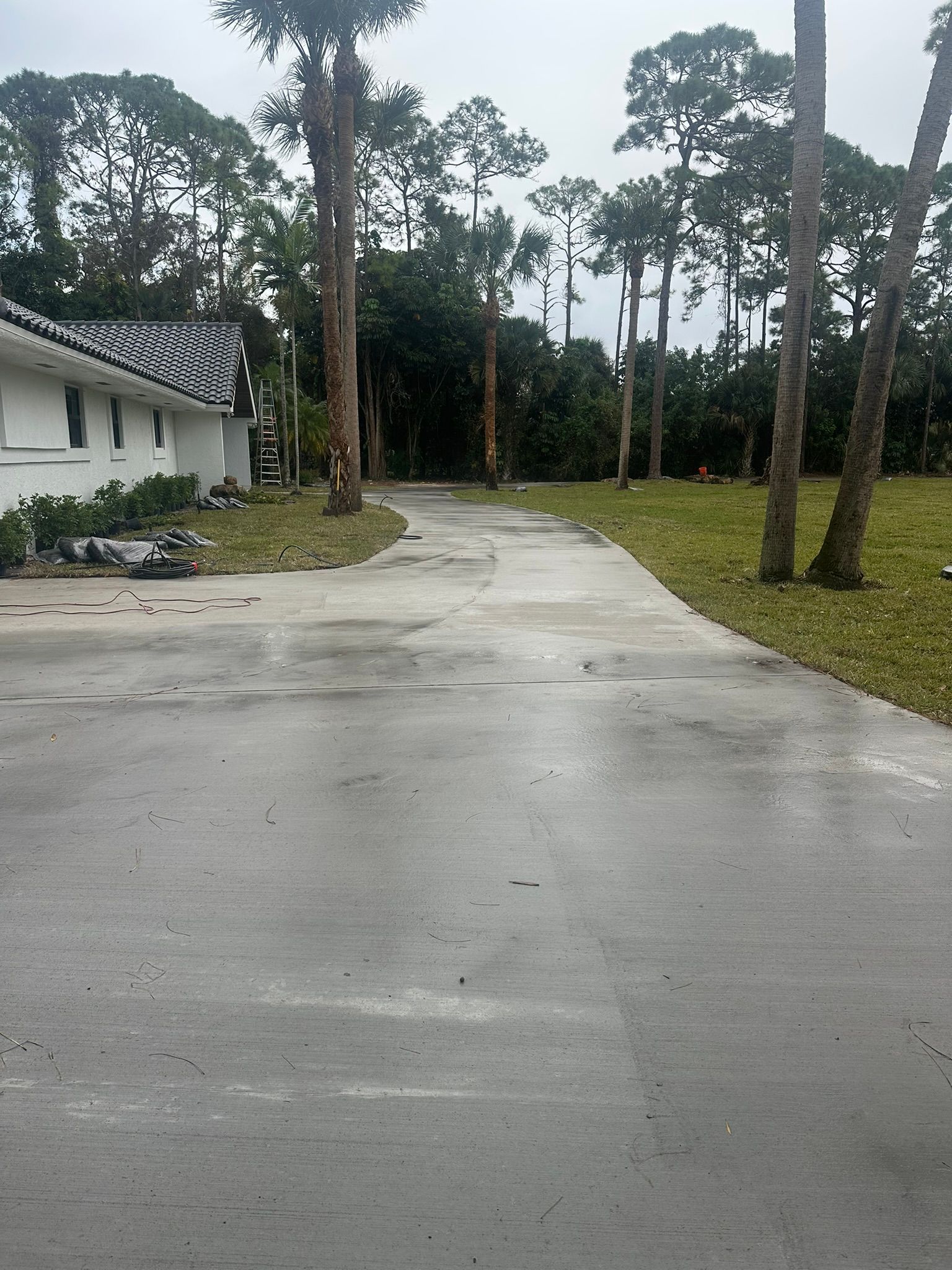 A concrete driveway leading to a house surrounded by trees