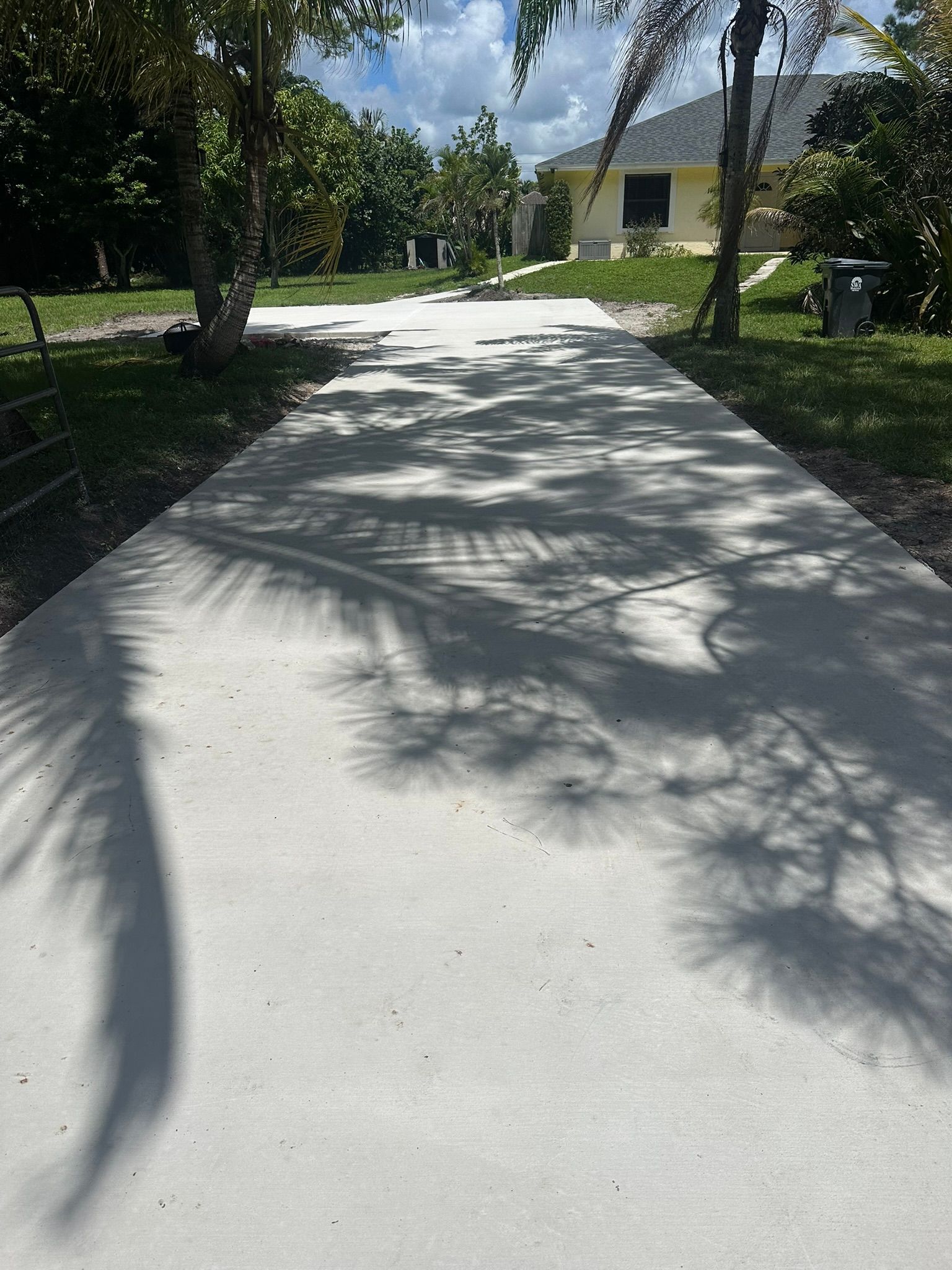 A shadow of a palm tree is cast on a concrete driveway leading to a house.