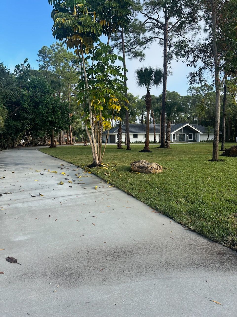 A group of people are working on a concrete driveway.