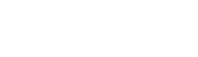 Straight Back Physio logo