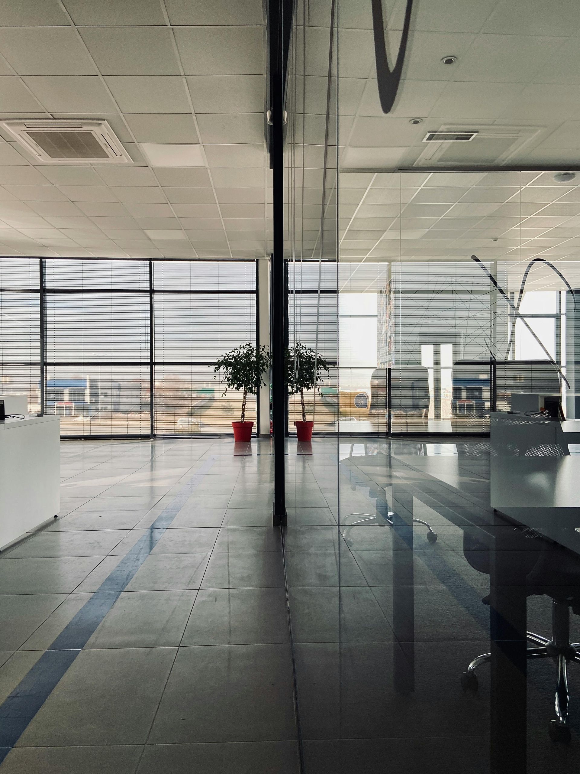 A large room with a lot of windows and two potted plants