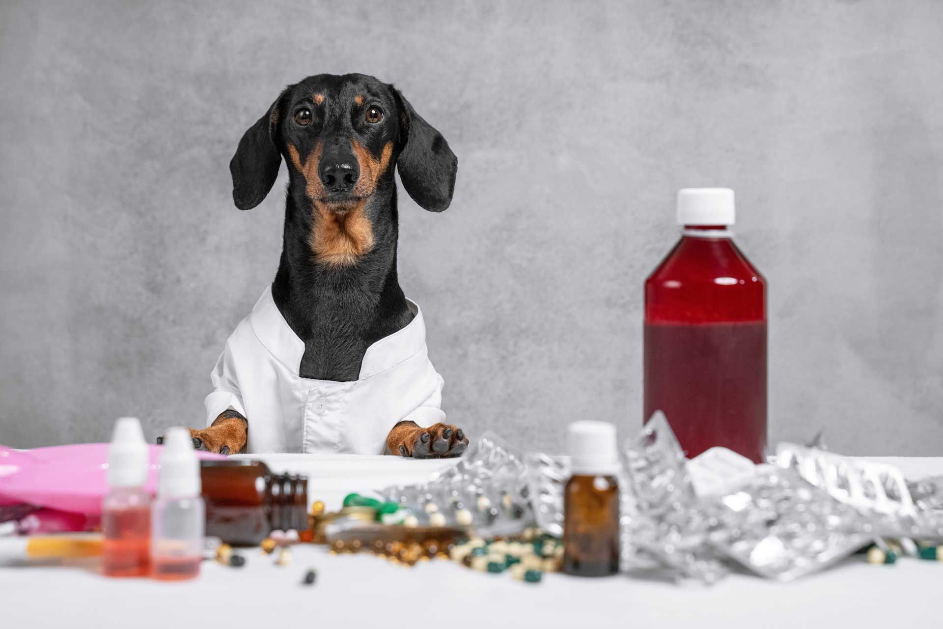 Pharmacy — Houston, TX — Abbott Animal Clinic