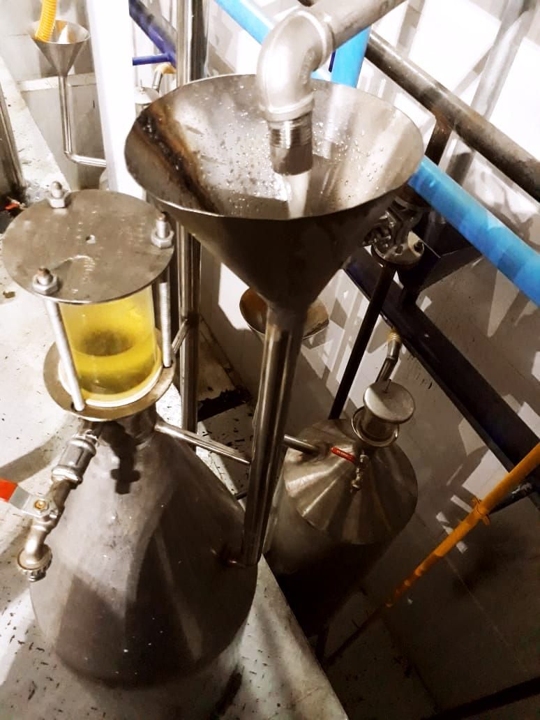 Extracting of Neroli oil