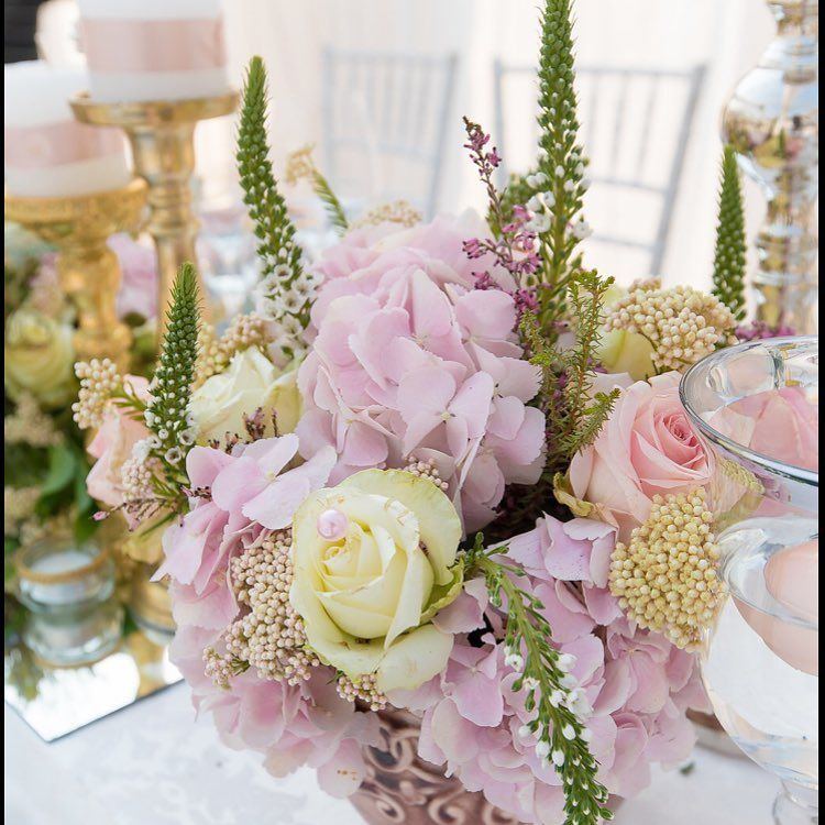 Wedding & Event Planner Zimbabwe and South Africa