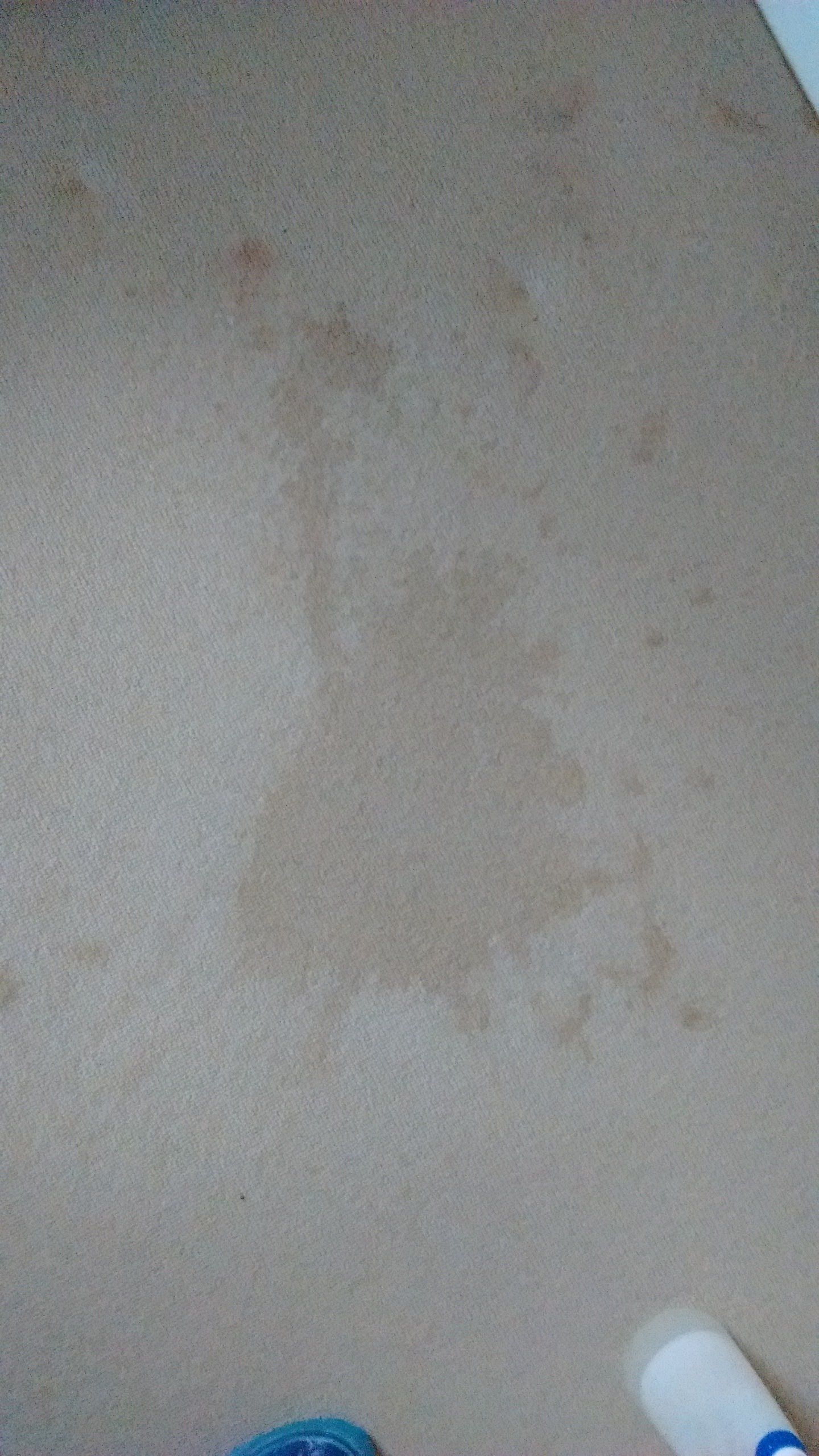 wine spilled on rug