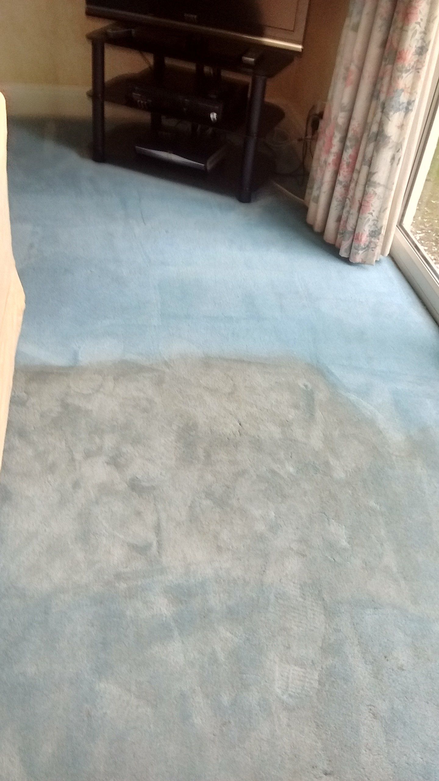 blue coloured rug