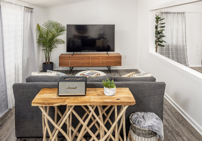 Living room with gray sofa, TV, wood console, wooden side table, and plant.