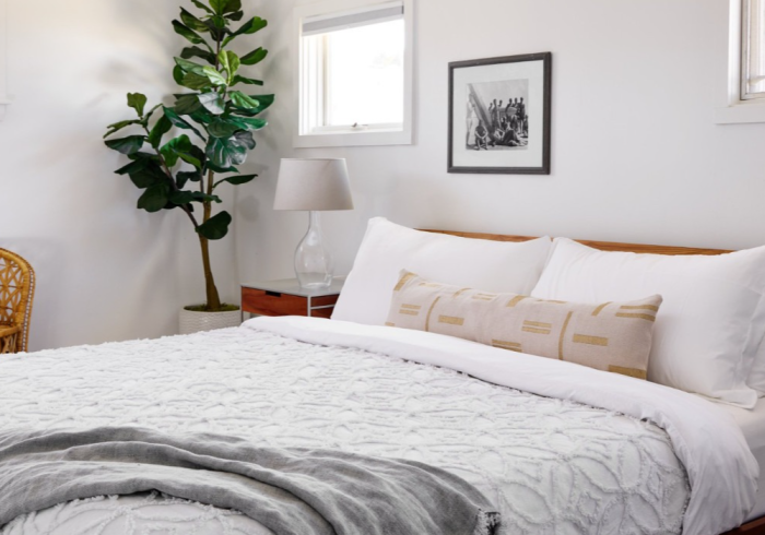 Bedroom with white walls, bed with white bedding, throw blanket, large plant, and artwork.