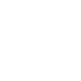 Blank white image