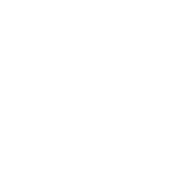 Blank white image.