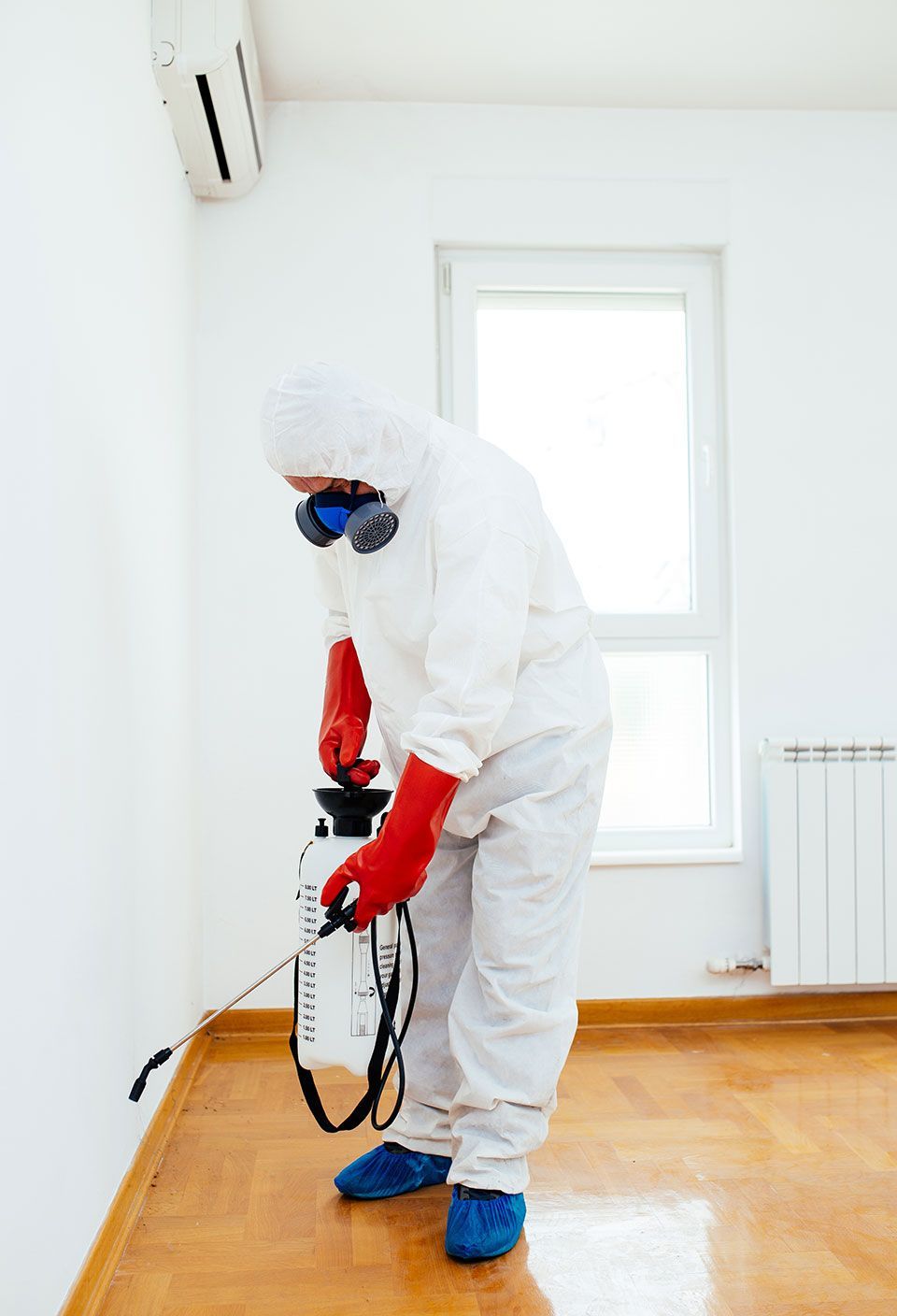 Exterminator in work wear spraying pesticide or insecticide with sprayer