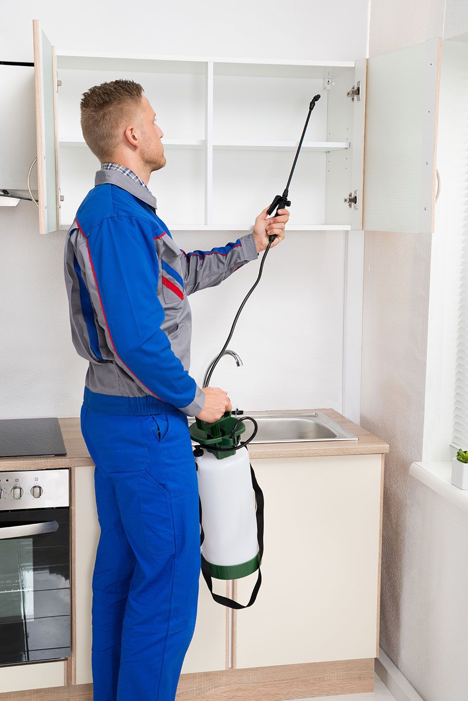 Worker Spraying Insecticide On Shelf