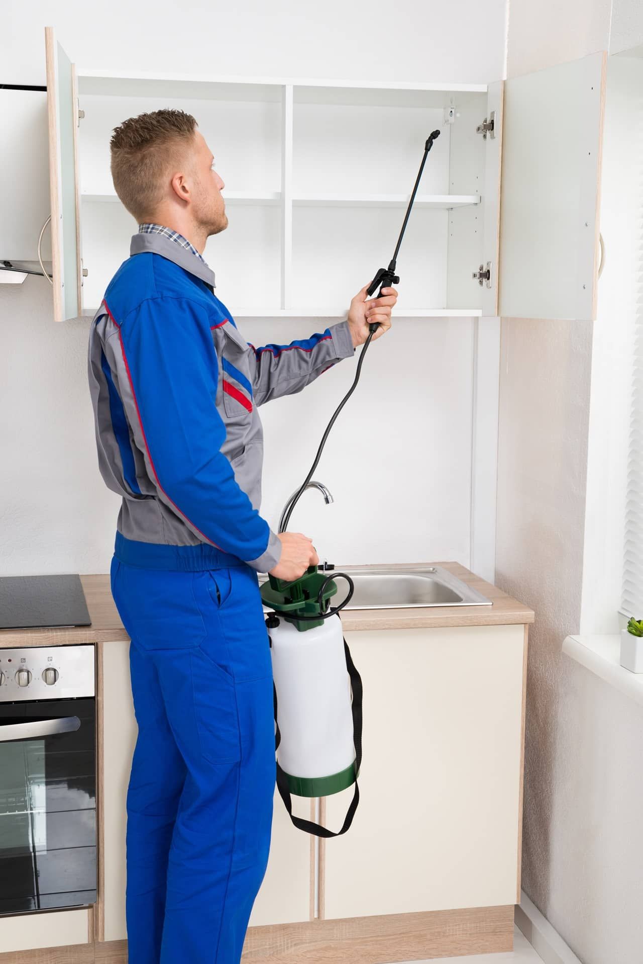 Pest control worker spraying inside of cabinets