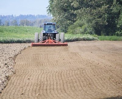 Grading & Seeding Contractor Clarence & Williamsville, NY