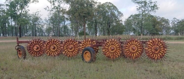 A Man Is Holding A Dog While Sitting On A Cat Bulldozer — Greenslade's Dozer & Excavator Hire Pty Ltd In Taabinga, QLD