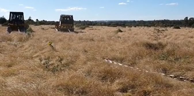 A Grassy Field With Two Trucks Chain Clearing — Greenslade's Dozer & Excavator Hire Pty Ltd In Taabinga, QLD