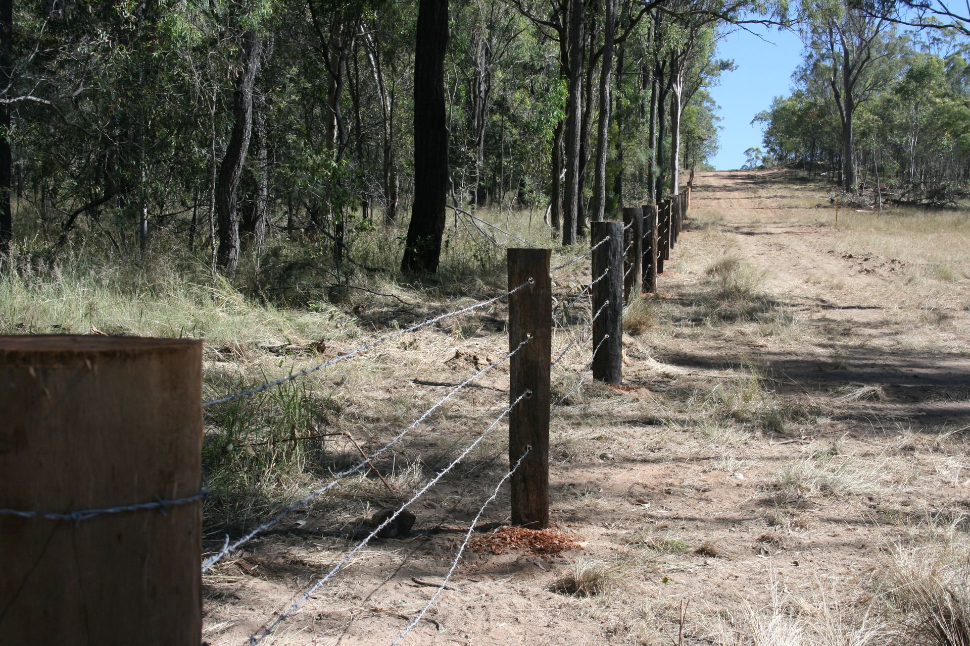 A Dirt Road In The Middle Of A Forest — Greenslade's Dozer & Excavator Hire Pty Ltd In Taabinga, QLD