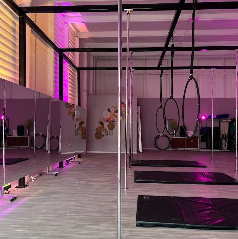 aerial hoop, lyra, beginner aerial hoop, beginner lyra, beginner aerial classes lubbock, tx, fun things to do in lubbock, fun workouts in lubbock.