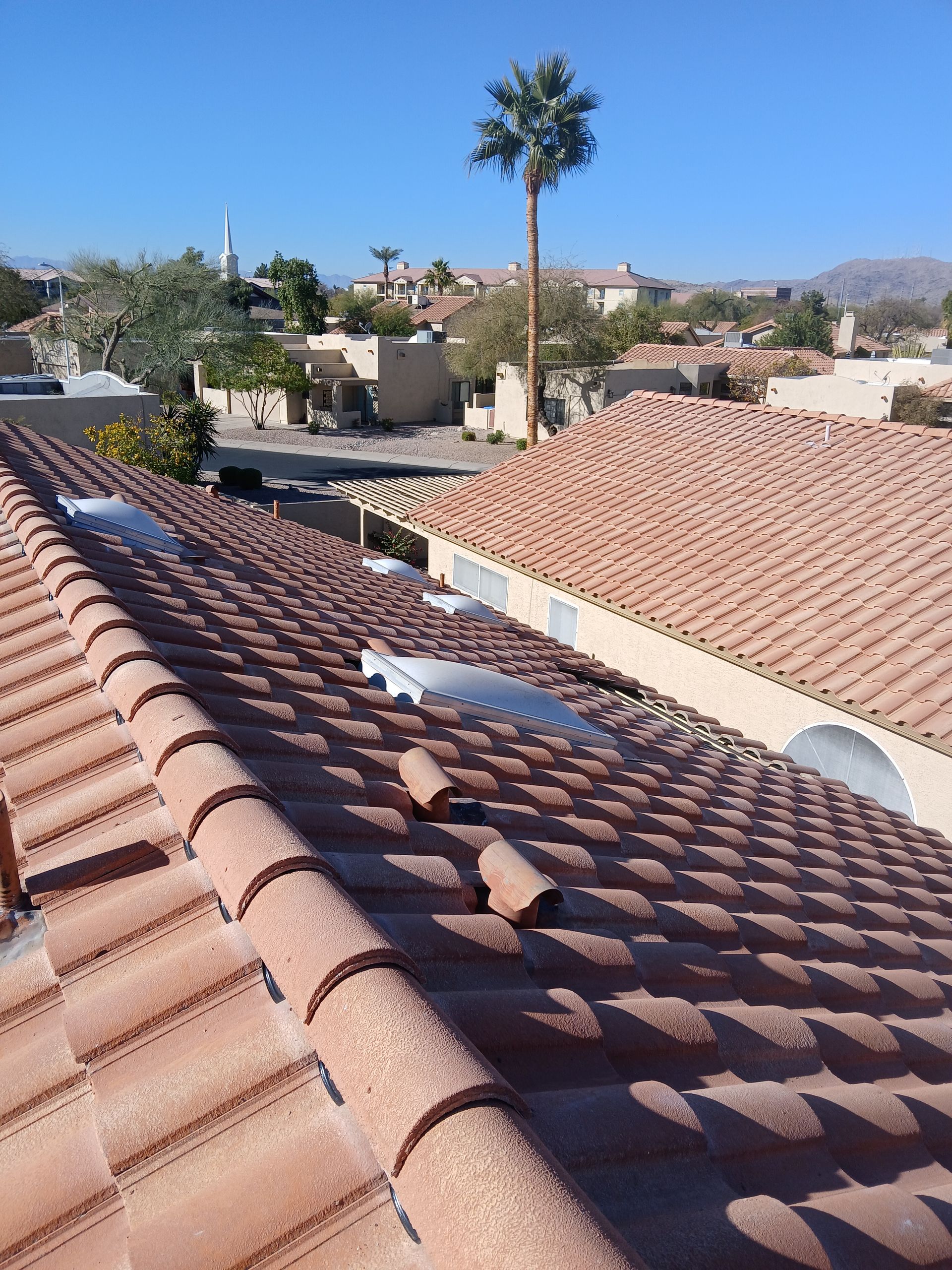 Terra-cotta tiled rooftops in a residential area, with a palm tree and blue sky in the background.