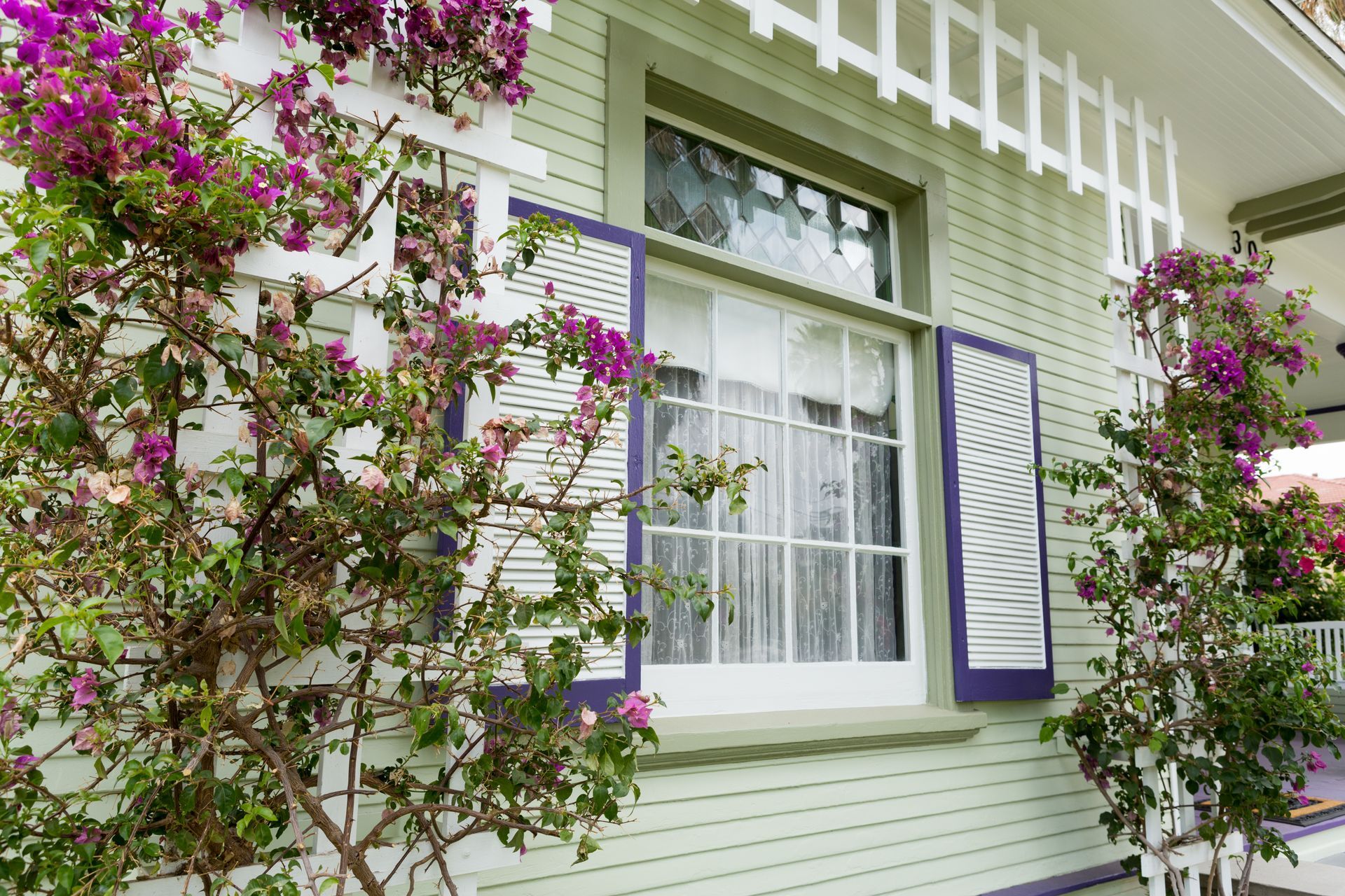 A green house with purple shutters and purple flowers