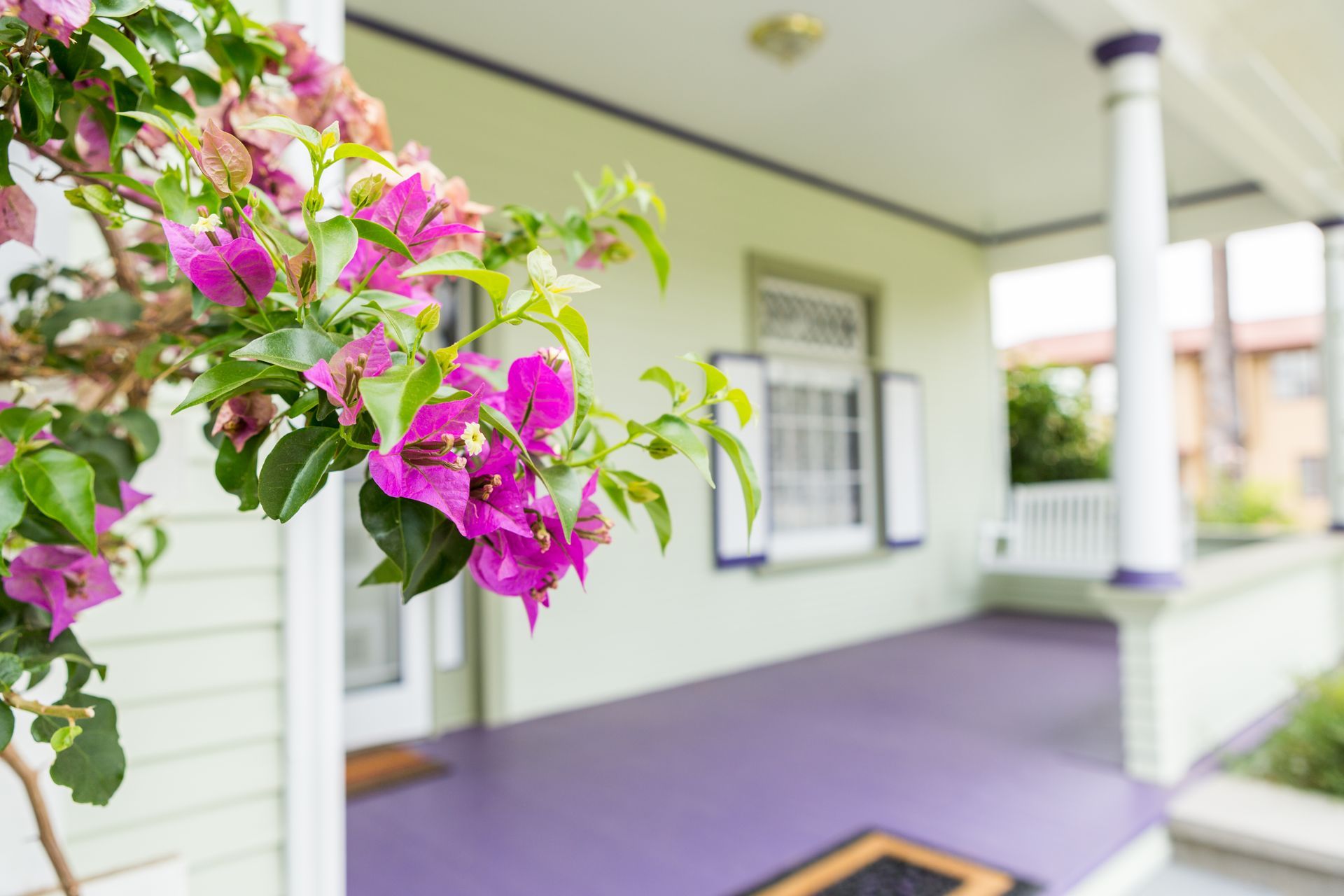 A white house with purple flowers on the porch.