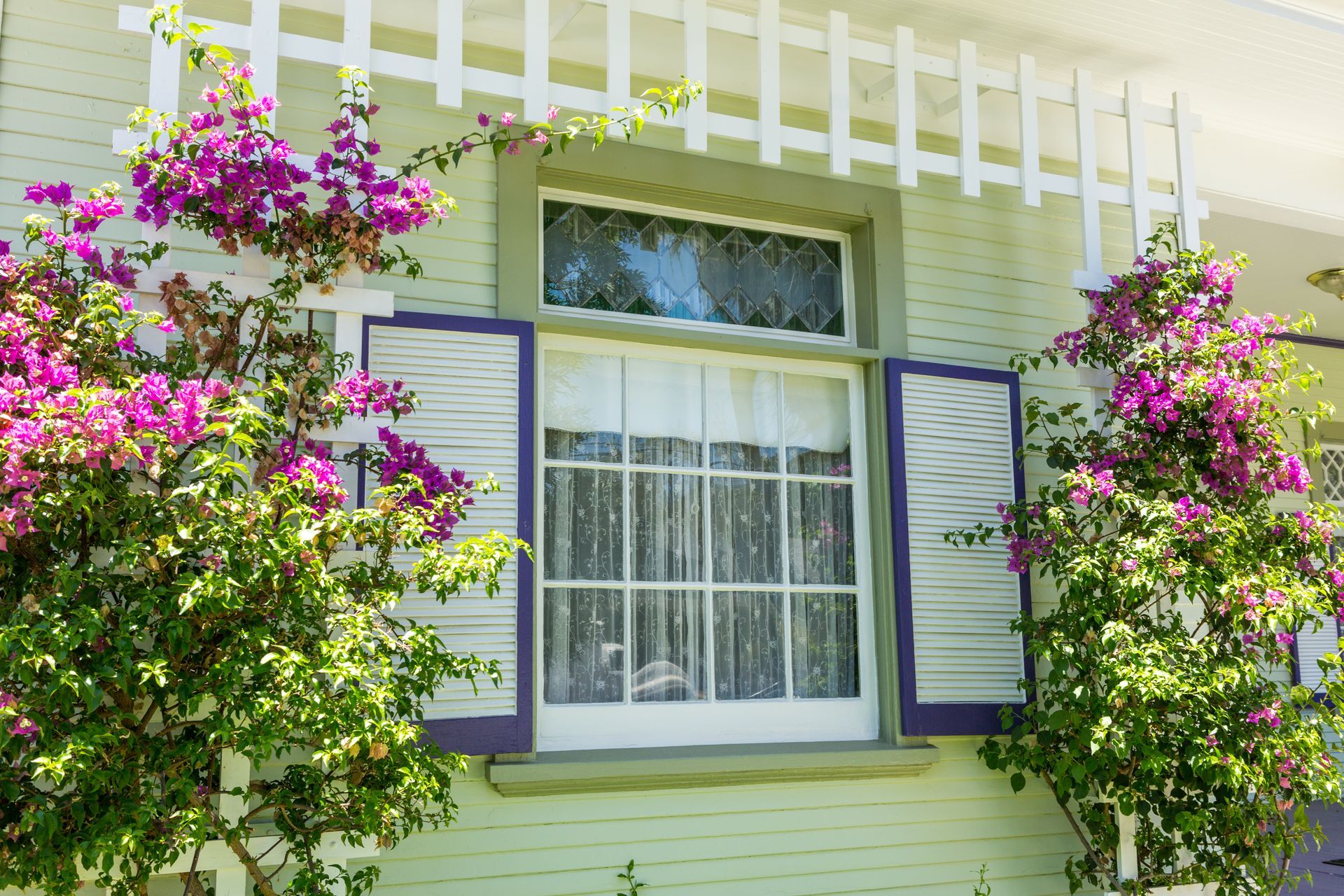 A house with purple shutters and purple flowers on the side of it