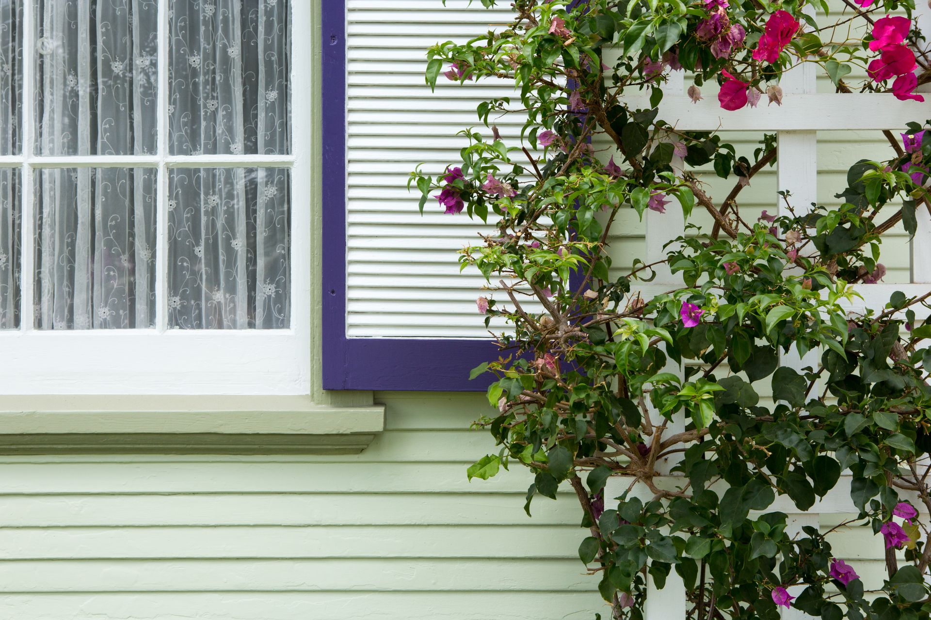 A white house with purple trim and a window with purple shutters.
