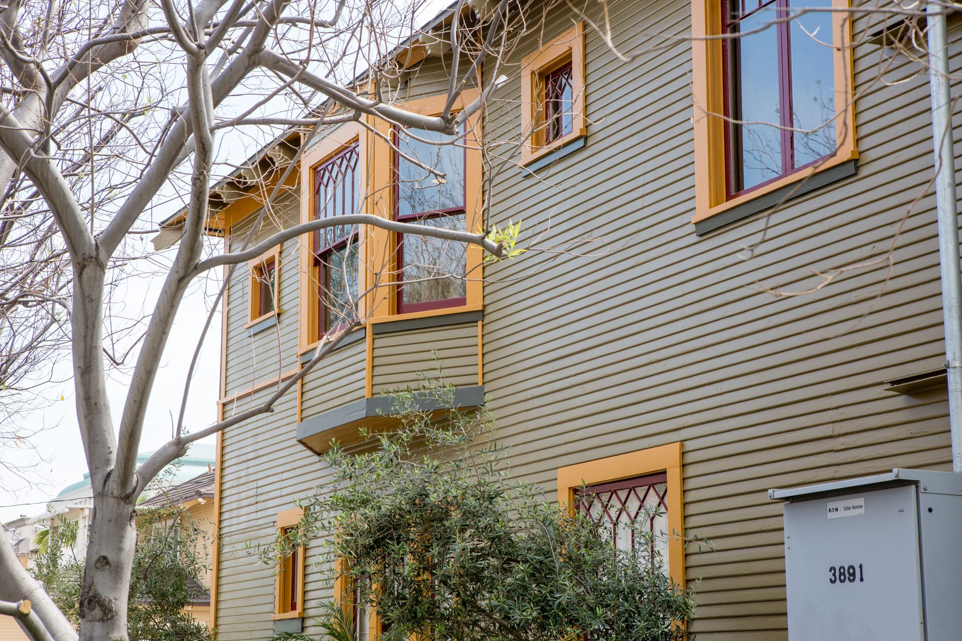 A building with a lot of windows and a tree in front of it