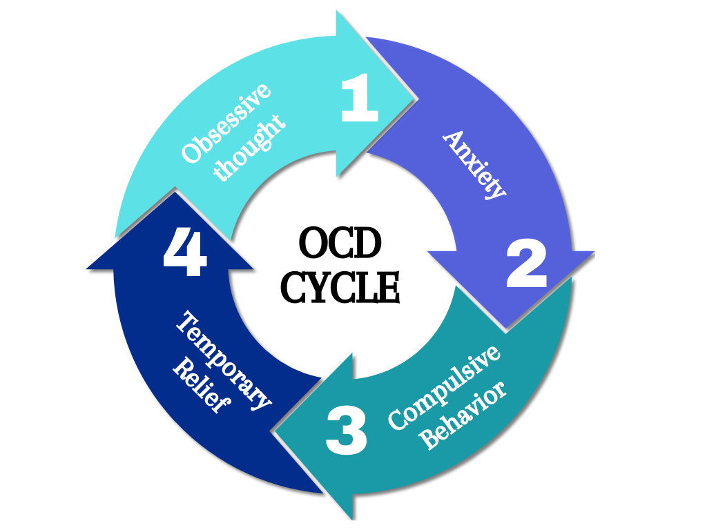 a diagram of the ocd cycle showing obsessive thought anxiety temporary relief and compulsive behavior