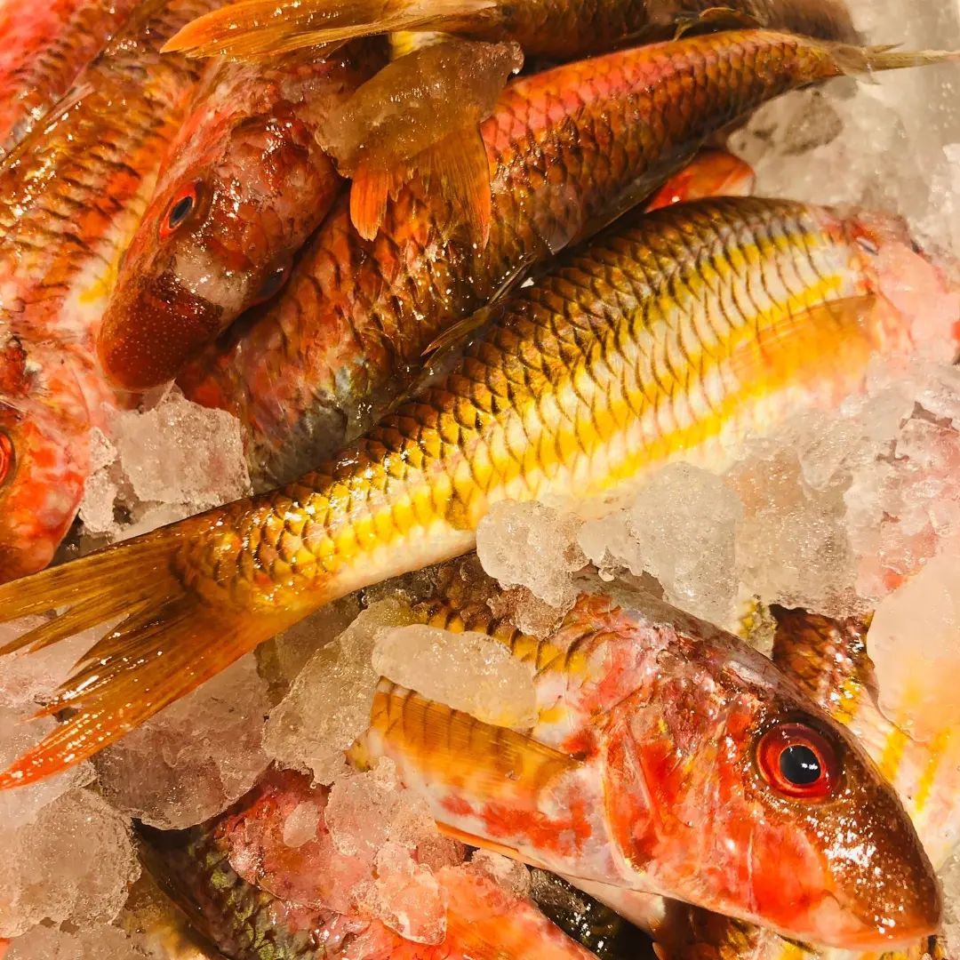 pescheria san vito dei normanni