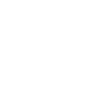 Badger Coaching Andy Beale