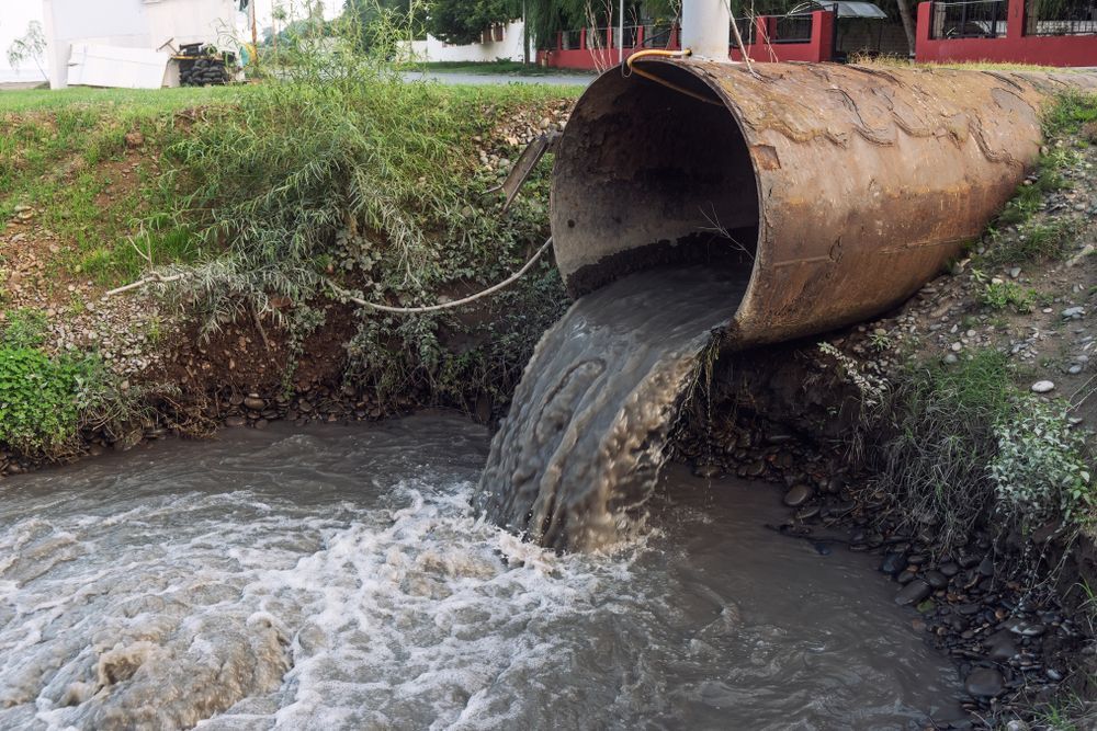 Polluted Water Gushing From a Rusty Pipe Into a Waterway — Raptor Waste Management In Nerang, QLD