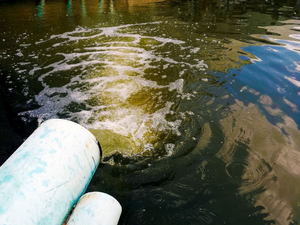 A Pipe Expels Foamy Water Into a Dark Body of Water — Raptor Waste Management In Ormeau, QLD