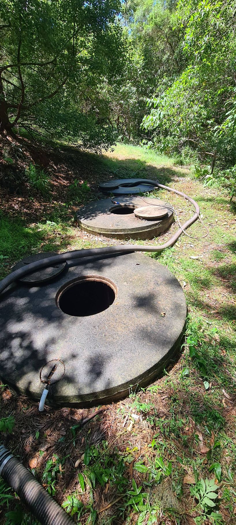 Concrete septic tanks in a wooded area, open and closed covers, pathway — Raptor Waste Management in Coolangatta, QLD