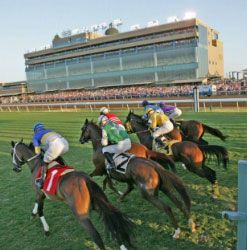 A group of jockeys are riding horses on a race track.