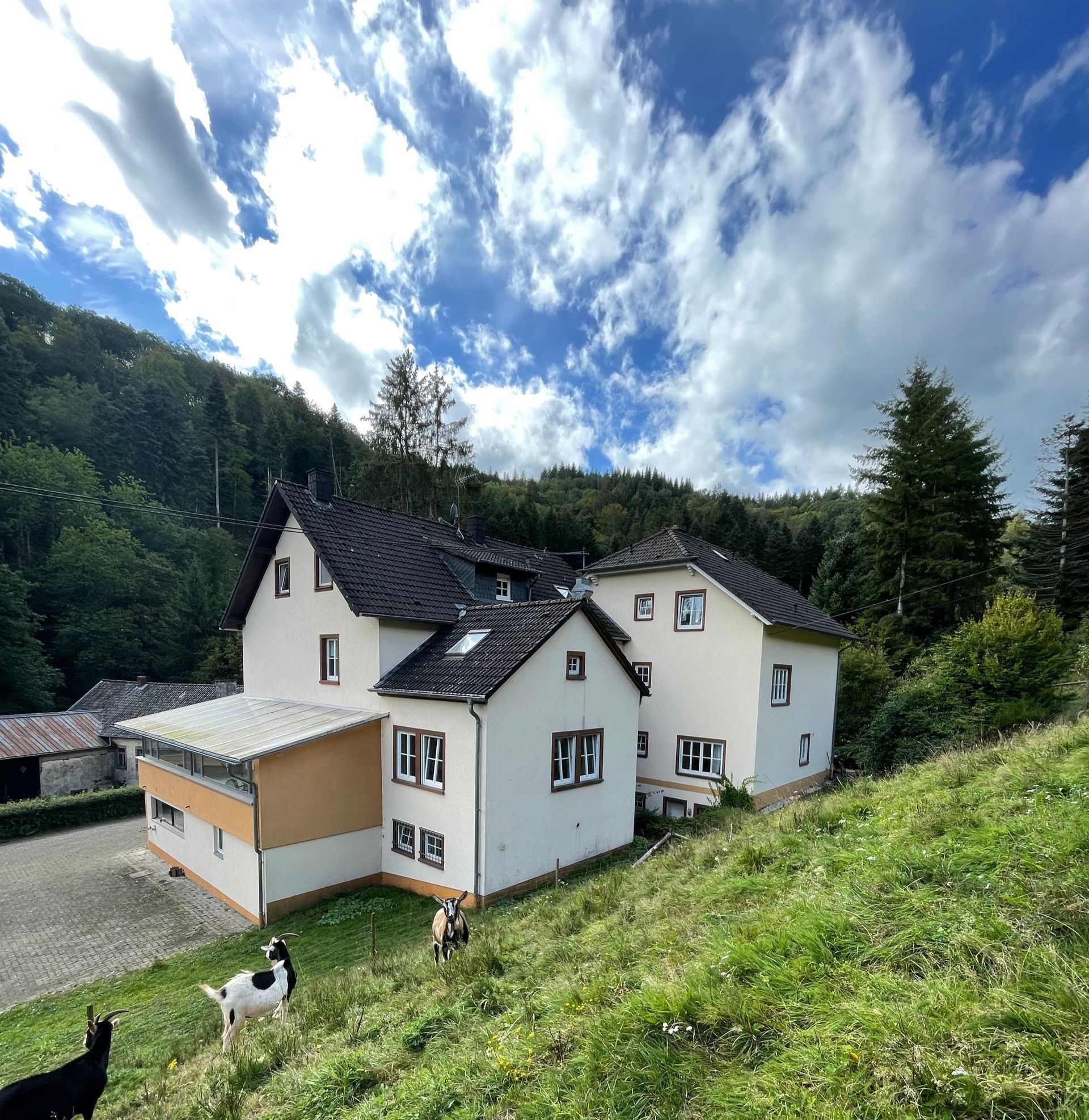 Bleckhausener Mühle