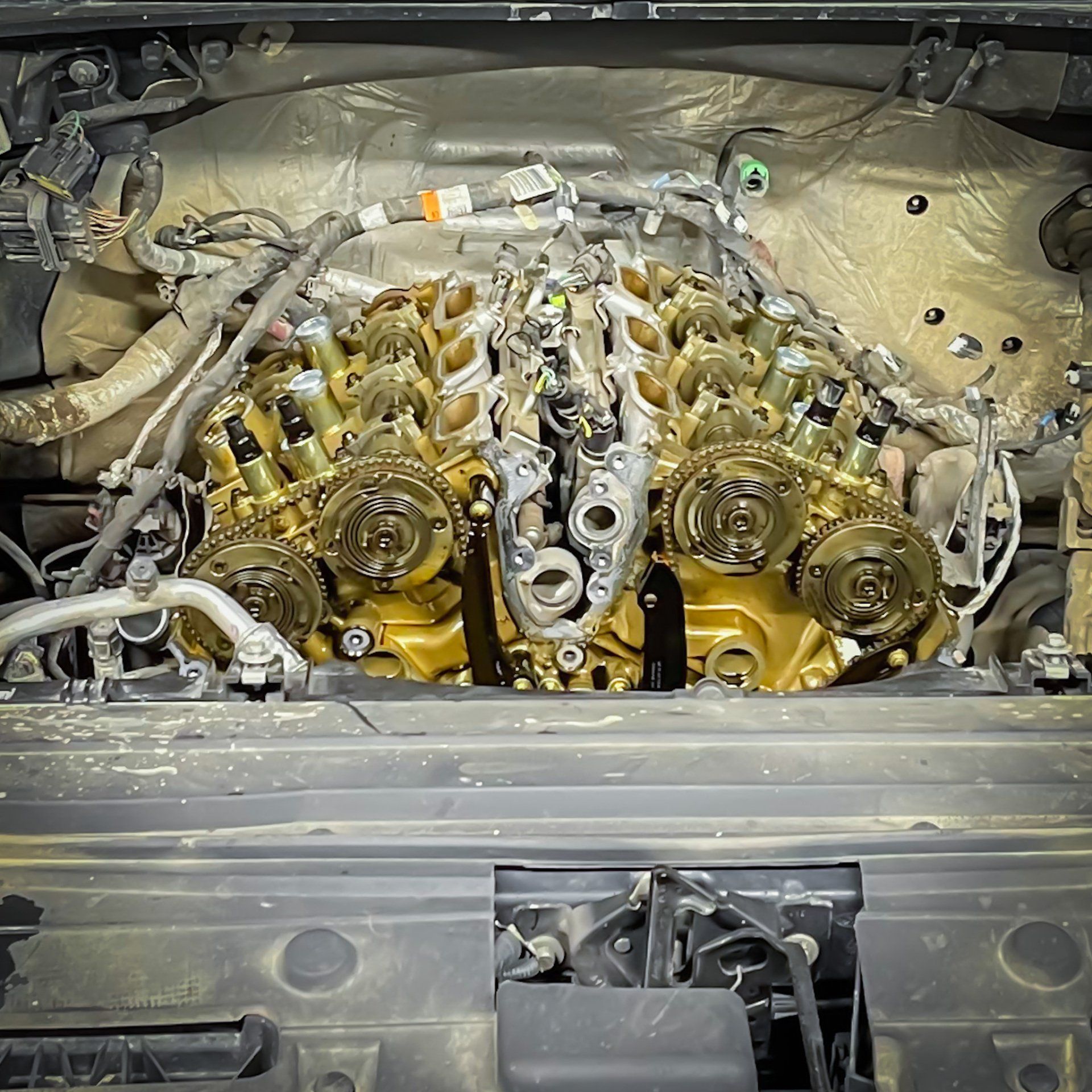 ford timing chain service