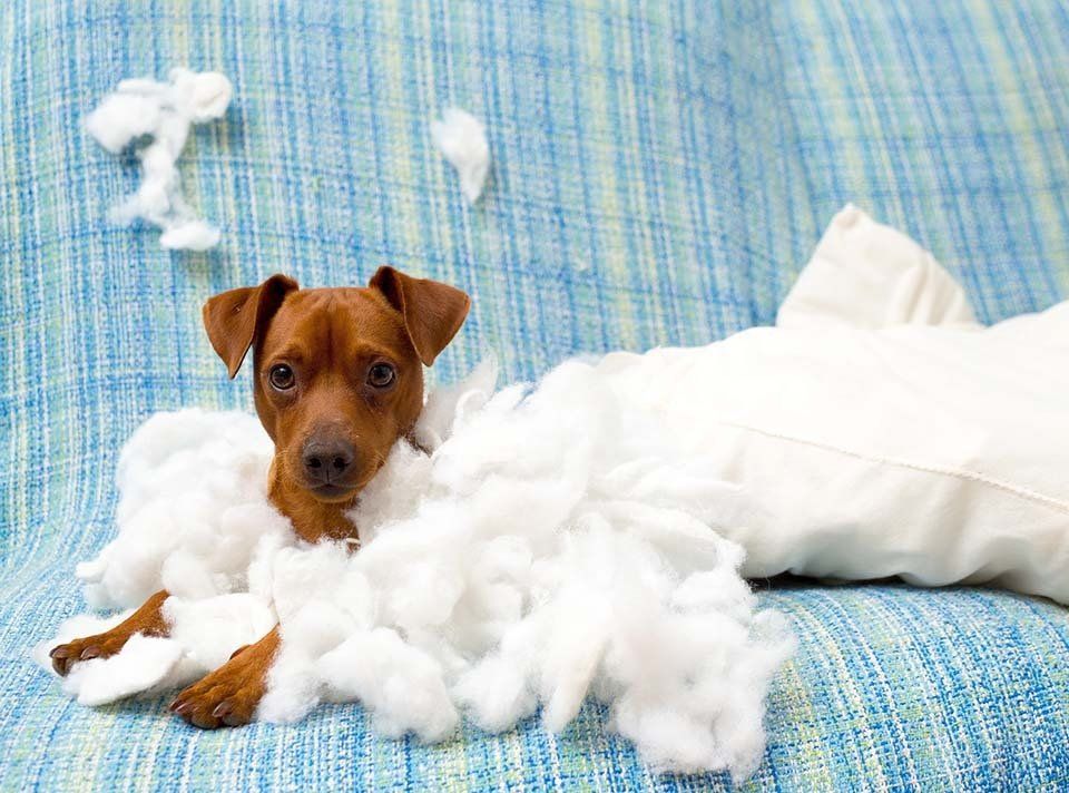 Terapia comportamentale