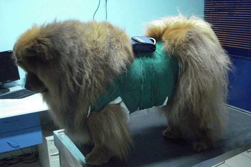 Esame holter cardiaco