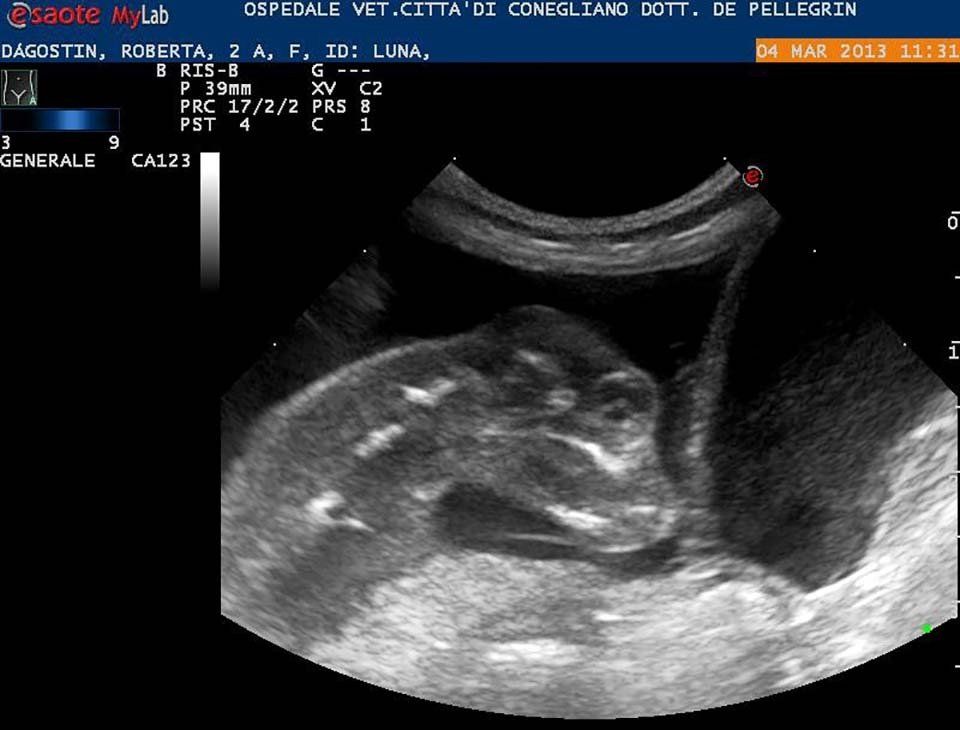 Diagnostica per immagini