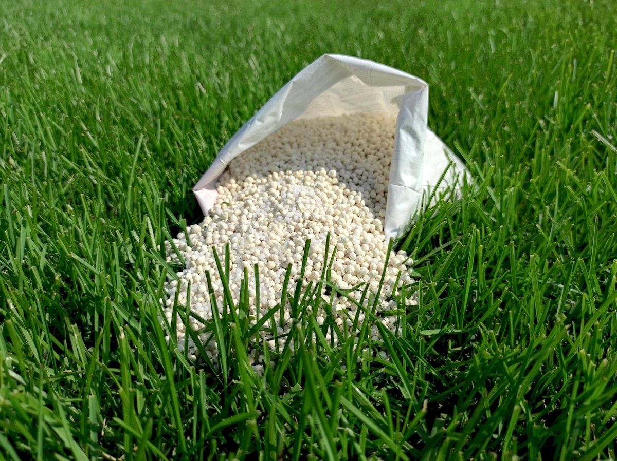 Boulder Creek Lawn & Landscape helps you pick the best fertilizer for your mid-Missouri garden