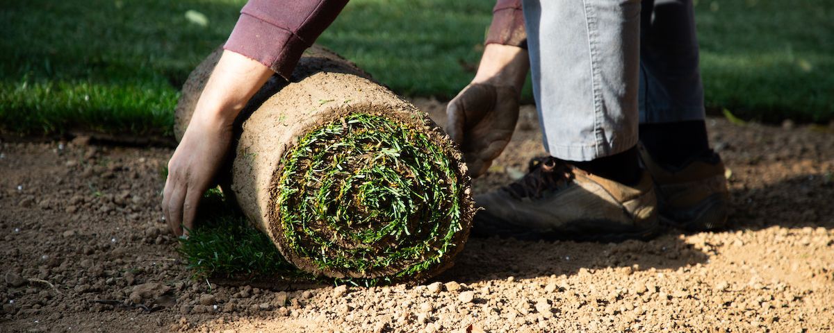 Laying Sod in Your Mid-Missouri Lawn? Get Materials at Boulder Creek’s Garden Center!