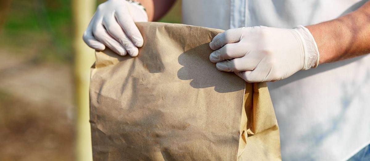 Learn More About Slow-Release Fertilizers With Boulder Creek Lawn & Landscape