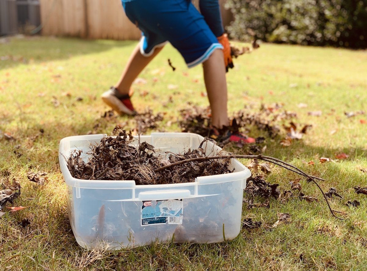 Boulder Creek Lawn & Landscape Will Help You Prepare Your Yard for Fall With Our Helpful Guide.