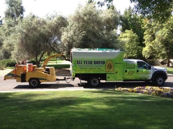 A tree service truck with a wood chipper trailer on a tree-lined street; the truck is green and white.