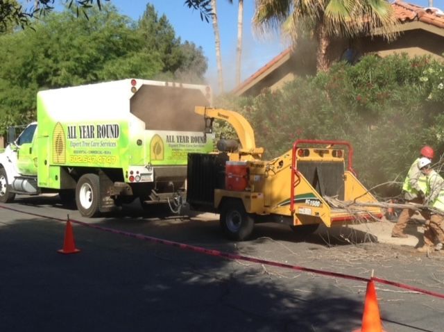 A tree service truck loading wood chips from a chipper on a residential street.